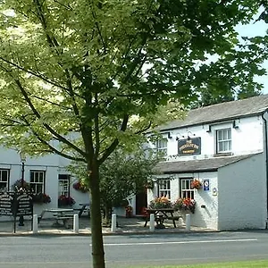 Pheasant Casterton